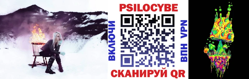 Галлюциногенные грибы мицелий купить наркотики цена Сунжа