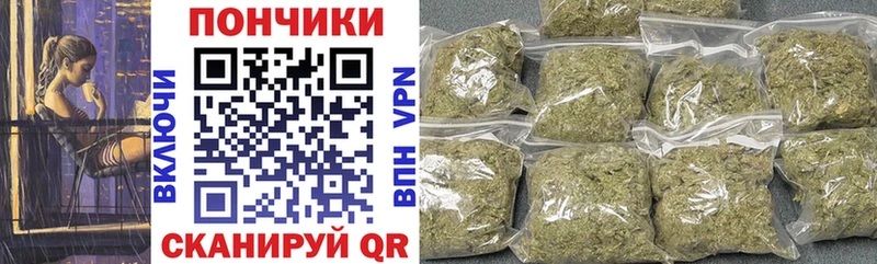 Конопля MAZAR  Сунжа 